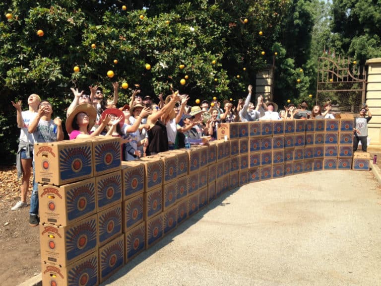 A large group of Backyard Harvest volunteers throw oranges in the air next to a long row of stacked Food Forward boxes.