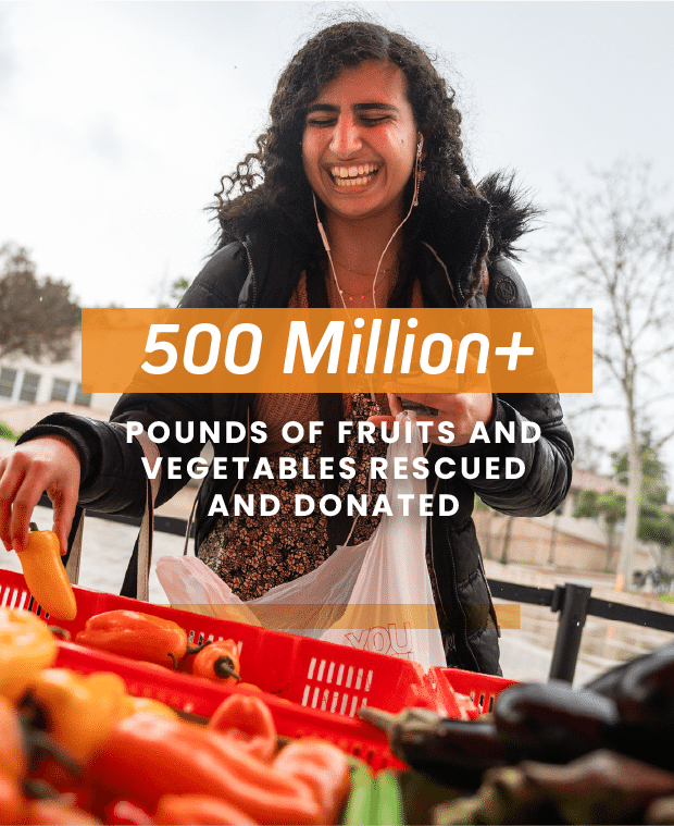 Desktop Hero Image Highlighting 500M Pound Milestone